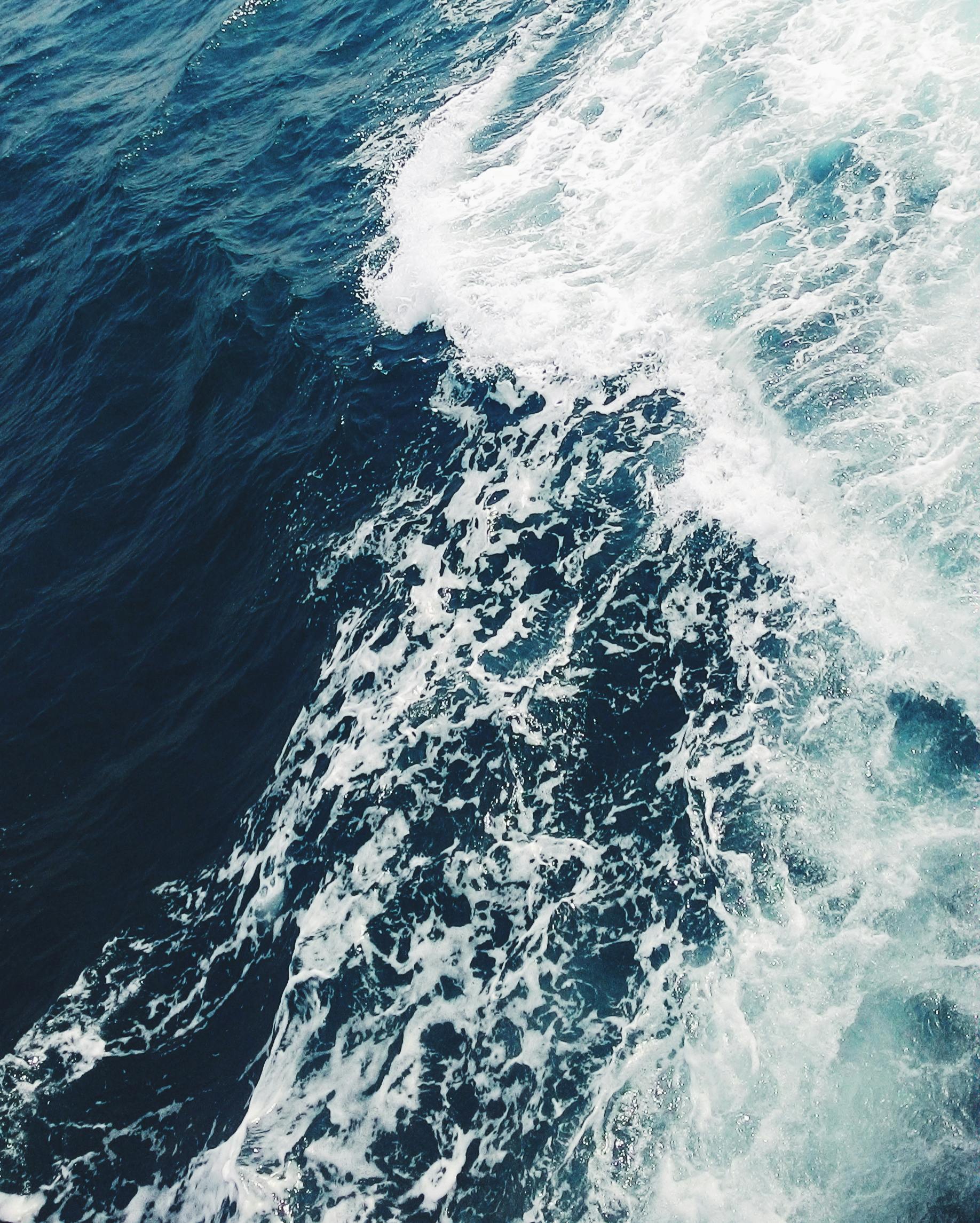 Life of Pi